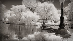 Central Park, New York #YNG-808.  Infrared Photograph,  Stretched and Gallery Wrapped, Limited Edition Archival Print on Canvas:  68 x 40 inches, $1620.  Custom Proportions and Sizes are Available.  For more information or to order please visit our ABOUT page or call us at 561-691-1110.