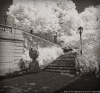 Central Park, New York #YNG-737.  Infrared Photograph,  Stretched and Gallery Wrapped, Limited Edition Archival Print on Canvas:  40 x 44 inches, $1530.  Custom Proportions and Sizes are Available.  For more information or to order please visit our ABOUT page or call us at 561-691-1110.