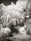 Central Park, New York #YNG-738.  Infrared Photograph,  Stretched and Gallery Wrapped, Limited Edition Archival Print on Canvas:  40 x 56 inches, $1590.  Custom Proportions and Sizes are Available.  For more information or to order please visit our ABOUT page or call us at 561-691-1110.