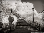 Central Park, New York #YNG-739.  Infrared Photograph,  Stretched and Gallery Wrapped, Limited Edition Archival Print on Canvas:  56 x 40 inches, $1590.  Custom Proportions and Sizes are Available.  For more information or to order please visit our ABOUT page or call us at 561-691-1110.