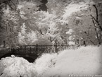 Central Park, New York #YNG-740.  Infrared Photograph,  Stretched and Gallery Wrapped, Limited Edition Archival Print on Canvas:  56 x 40 inches, $1590.  Custom Proportions and Sizes are Available.  For more information or to order please visit our ABOUT page or call us at 561-691-1110.