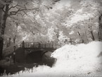 Central Park, New York #YNG-741.  Infrared Photograph,  Stretched and Gallery Wrapped, Limited Edition Archival Print on Canvas:  56 x 40 inches, $1590.  Custom Proportions and Sizes are Available.  For more information or to order please visit our ABOUT page or call us at 561-691-1110.
