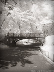 Central Park, New York #YNG-743.  Infrared Photograph,  Stretched and Gallery Wrapped, Limited Edition Archival Print on Canvas:  40 x 56 inches, $1590.  Custom Proportions and Sizes are Available.  For more information or to order please visit our ABOUT page or call us at 561-691-1110.