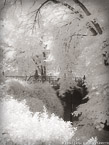 Central Park, New York #YNG-745.  Infrared Photograph,  Stretched and Gallery Wrapped, Limited Edition Archival Print on Canvas:  40 x 56 inches, $1590.  Custom Proportions and Sizes are Available.  For more information or to order please visit our ABOUT page or call us at 561-691-1110.