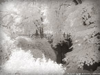 Central Park, New York #YNG-746.  Infrared Photograph,  Stretched and Gallery Wrapped, Limited Edition Archival Print on Canvas:  56 x 40 inches, $1590.  Custom Proportions and Sizes are Available.  For more information or to order please visit our ABOUT page or call us at 561-691-1110.