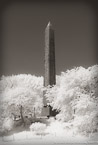 Central Park, New York #YNG-747.  Infrared Photograph,  Stretched and Gallery Wrapped, Limited Edition Archival Print on Canvas:  40 x 68 inches, $1620.  Custom Proportions and Sizes are Available.  For more information or to order please visit our ABOUT page or call us at 561-691-1110.