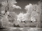 Central Park, New York #YNG-756.  Infrared Photograph,  Stretched and Gallery Wrapped, Limited Edition Archival Print on Canvas:  56 x 40 inches, $1590.  Custom Proportions and Sizes are Available.  For more information or to order please visit our ABOUT page or call us at 561-691-1110.