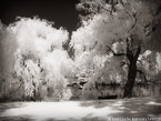 Central Park, New York #YNG-759.  Infrared Photograph,  Stretched and Gallery Wrapped, Limited Edition Archival Print on Canvas:  56 x 40 inches, $1590.  Custom Proportions and Sizes are Available.  For more information or to order please visit our ABOUT page or call us at 561-691-1110.