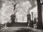 Central Park, New York #YNG-764.  Infrared Photograph,  Stretched and Gallery Wrapped, Limited Edition Archival Print on Canvas:  56 x 40 inches, $1590.  Custom Proportions and Sizes are Available.  For more information or to order please visit our ABOUT page or call us at 561-691-1110.