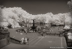 Central Park, New York #YNG-771.  Infrared Photograph,  Stretched and Gallery Wrapped, Limited Edition Archival Print on Canvas:  60 x 40 inches, $1590.  Custom Proportions and Sizes are Available.  For more information or to order please visit our ABOUT page or call us at 561-691-1110.