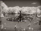 Central Park, New York #YNG-772.  Infrared Photograph,  Stretched and Gallery Wrapped, Limited Edition Archival Print on Canvas:  56 x 40 inches, $1590.  Custom Proportions and Sizes are Available.  For more information or to order please visit our ABOUT page or call us at 561-691-1110.