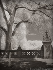 Central Park, New York #YNG-777.  Infrared Photograph,  Stretched and Gallery Wrapped, Limited Edition Archival Print on Canvas:  40 x 56 inches, $1590.  Custom Proportions and Sizes are Available.  For more information or to order please visit our ABOUT page or call us at 561-691-1110.