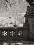 Central Park, New York #YNG-778.  Infrared Photograph,  Stretched and Gallery Wrapped, Limited Edition Archival Print on Canvas:  40 x 56 inches, $1590.  Custom Proportions and Sizes are Available.  For more information or to order please visit our ABOUT page or call us at 561-691-1110.