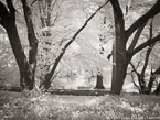Central Park, New York #YNG-782.  Infrared Photograph,  Stretched and Gallery Wrapped, Limited Edition Archival Print on Canvas:  56 x 40 inches, $1590.  Custom Proportions and Sizes are Available.  For more information or to order please visit our ABOUT page or call us at 561-691-1110.