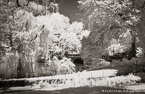 Central Park, New York #YNG-783.  Infrared Photograph,  Stretched and Gallery Wrapped, Limited Edition Archival Print on Canvas:  60 x 40 inches, $1590.  Custom Proportions and Sizes are Available.  For more information or to order please visit our ABOUT page or call us at 561-691-1110.