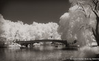 Central Park, New York #YNG-791.  Infrared Photograph,  Stretched and Gallery Wrapped, Limited Edition Archival Print on Canvas:  68 x 40 inches, $1620.  Custom Proportions and Sizes are Available.  For more information or to order please visit our ABOUT page or call us at 561-691-1110.