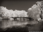 Central Park, New York #YNG-792.  Infrared Photograph,  Stretched and Gallery Wrapped, Limited Edition Archival Print on Canvas:  56 x 40 inches, $1590.  Custom Proportions and Sizes are Available.  For more information or to order please visit our ABOUT page or call us at 561-691-1110.