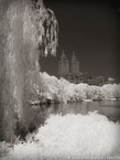 Central Park, New York #YNG-793.  Infrared Photograph,  Stretched and Gallery Wrapped, Limited Edition Archival Print on Canvas:  40 x 56 inches, $1590.  Custom Proportions and Sizes are Available.  For more information or to order please visit our ABOUT page or call us at 561-691-1110.