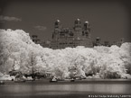 Central Park, New York #YNG-794.  Infrared Photograph,  Stretched and Gallery Wrapped, Limited Edition Archival Print on Canvas:  56 x 40 inches, $1590.  Custom Proportions and Sizes are Available.  For more information or to order please visit our ABOUT page or call us at 561-691-1110.