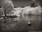 Central Park, New York #YNG-796.  Infrared Photograph,  Stretched and Gallery Wrapped, Limited Edition Archival Print on Canvas:  56 x 40 inches, $1590.  Custom Proportions and Sizes are Available.  For more information or to order please visit our ABOUT page or call us at 561-691-1110.