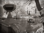 Central Park, New York #YNG-800.  Infrared Photograph,  Stretched and Gallery Wrapped, Limited Edition Archival Print on Canvas:  56 x 40 inches, $1590.  Custom Proportions and Sizes are Available.  For more information or to order please visit our ABOUT page or call us at 561-691-1110.
