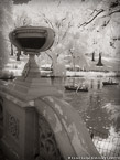Central Park, New York #YNG-801.  Infrared Photograph,  Stretched and Gallery Wrapped, Limited Edition Archival Print on Canvas:  40 x 56 inches, $1590.  Custom Proportions and Sizes are Available.  For more information or to order please visit our ABOUT page or call us at 561-691-1110.