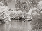 Central Park, New York #YNG-806.  Infrared Photograph,  Stretched and Gallery Wrapped, Limited Edition Archival Print on Canvas:  56 x 40 inches, $1590.  Custom Proportions and Sizes are Available.  For more information or to order please visit our ABOUT page or call us at 561-691-1110.