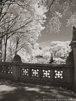 Central Park, New York #YNG-810.  Infrared Photograph,  Stretched and Gallery Wrapped, Limited Edition Archival Print on Canvas:  40 x 56 inches, $1590.  Custom Proportions and Sizes are Available.  For more information or to order please visit our ABOUT page or call us at 561-691-1110.