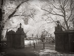 Central Park, New York #YNG-811.  Infrared Photograph,  Stretched and Gallery Wrapped, Limited Edition Archival Print on Canvas:  56 x 40 inches, $1590.  Custom Proportions and Sizes are Available.  For more information or to order please visit our ABOUT page or call us at 561-691-1110.