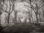 Central Park, New York #YNG-815.  Infrared Photograph,  Stretched and Gallery Wrapped, Limited Edition Archival Print on Canvas:  56 x 40 inches, $1590.  Custom Proportions and Sizes are Available.  For more information or to order please visit our ABOUT page or call us at 561-691-1110.