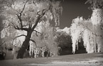 Central Park, New York #YNG-824.  Infrared Photograph,  Stretched and Gallery Wrapped, Limited Edition Archival Print on Canvas:  60 x 40 inches, $1590.  Custom Proportions and Sizes are Available.  For more information or to order please visit our ABOUT page or call us at 561-691-1110.