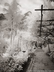 Garden , Positano Italy #YNG-848.  Infrared Photograph,  Stretched and Gallery Wrapped, Limited Edition Archival Print on Canvas:  40 x 56 inches, $1590.  Custom Proportions and Sizes are Available.  For more information or to order please visit our ABOUT page or call us at 561-691-1110.