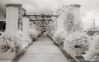 Garden Walkway, Ravello Italy #YNG-851.  Infrared Photograph,  Stretched and Gallery Wrapped, Limited Edition Archival Print on Canvas:  68 x 40 inches, $1620.  Custom Proportions and Sizes are Available.  For more information or to order please visit our ABOUT page or call us at 561-691-1110.