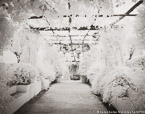 Garden Walkway, Ravello Italy #YNG-856.  Infrared Photograph,  Stretched and Gallery Wrapped, Limited Edition Archival Print on Canvas:  56 x 40 inches, $1590.  Custom Proportions and Sizes are Available.  For more information or to order please visit our ABOUT page or call us at 561-691-1110.