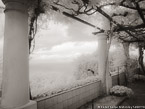 Garden Arbor, Capri Italy #YNG-861.  Infrared Photograph,  Stretched and Gallery Wrapped, Limited Edition Archival Print on Canvas:  56 x 40 inches, $1590.  Custom Proportions and Sizes are Available.  For more information or to order please visit our ABOUT page or call us at 561-691-1110.