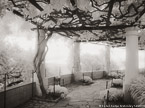 Garden Arbor, Capri Italy #YNG-862.  Infrared Photograph,  Stretched and Gallery Wrapped, Limited Edition Archival Print on Canvas:  56 x 40 inches, $1590.  Custom Proportions and Sizes are Available.  For more information or to order please visit our ABOUT page or call us at 561-691-1110.