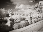 Garden , Capri Italy #YNG-881.  Infrared Photograph,  Stretched and Gallery Wrapped, Limited Edition Archival Print on Canvas:  56 x 40 inches, $1590.  Custom Proportions and Sizes are Available.  For more information or to order please visit our ABOUT page or call us at 561-691-1110.