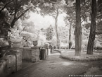 Garden , Capri Italy #YNG-884.  Infrared Photograph,  Stretched and Gallery Wrapped, Limited Edition Archival Print on Canvas:  56 x 40 inches, $1590.  Custom Proportions and Sizes are Available.  For more information or to order please visit our ABOUT page or call us at 561-691-1110.