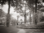 Garden , Capri Italy #YNG-886.  Infrared Photograph,  Stretched and Gallery Wrapped, Limited Edition Archival Print on Canvas:  56 x 40 inches, $1590.  Custom Proportions and Sizes are Available.  For more information or to order please visit our ABOUT page or call us at 561-691-1110.