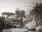 Garden , Capri Italy #YNG-890.  Infrared Photograph,  Stretched and Gallery Wrapped, Limited Edition Archival Print on Canvas:  56 x 40 inches, $1590.  Custom Proportions and Sizes are Available.  For more information or to order please visit our ABOUT page or call us at 561-691-1110.
