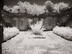 Tropical Garden, Miami  #YNG-259.  Infrared Photograph,  Stretched and Gallery Wrapped, Limited Edition Archival Print on Canvas:  56 x 40 inches, $1590.  Custom Proportions and Sizes are Available.  For more information or to order please visit our ABOUT page or call us at 561-691-1110.