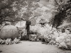 Tropical Garden, Palm Beach #YNG-184.  Infrared Photograph,  Stretched and Gallery Wrapped, Limited Edition Archival Print on Canvas:  56 x 40 inches, $1590.  Custom Proportions and Sizes are Available.  For more information or to order please visit our ABOUT page or call us at 561-691-1110.