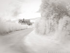 Path , Rhode Island #YNG-185.  Infrared Photograph,  Stretched and Gallery Wrapped, Limited Edition Archival Print on Canvas:  50 x 40 inches, $1560.  Custom Proportions and Sizes are Available.  For more information or to order please visit our ABOUT page or call us at 561-691-1110.