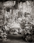 Tropical Garden, Palm Beach #YNG-283.  Infrared Photograph,  Stretched and Gallery Wrapped, Limited Edition Archival Print on Canvas:  40 x 50 inches, $1560.  Custom Proportions and Sizes are Available.  For more information or to order please visit our ABOUT page or call us at 561-691-1110.