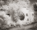 Tropical Garden, Palm Beach #YNG-136.  Infrared Photograph,  Stretched and Gallery Wrapped, Limited Edition Archival Print on Canvas:  48 x 40 inches, $1560.  Custom Proportions and Sizes are Available.  For more information or to order please visit our ABOUT page or call us at 561-691-1110.