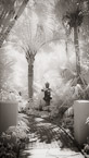 Tropical Garden, Palm Beach #YNG-022.  Infrared Photograph,  Stretched and Gallery Wrapped, Limited Edition Archival Print on Canvas:  40 x 72 inches, $1620.  Custom Proportions and Sizes are Available.  For more information or to order please visit our ABOUT page or call us at 561-691-1110.
