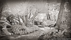 Tropical Garden, Palm Beach #YNG-023.  Infrared Photograph,  Stretched and Gallery Wrapped, Limited Edition Archival Print on Canvas:  72 x 40 inches, $1620.  Custom Proportions and Sizes are Available.  For more information or to order please visit our ABOUT page or call us at 561-691-1110.
