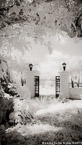 Tropical Garden, Palm Beach #YNG-033.  Infrared Photograph,  Stretched and Gallery Wrapped, Limited Edition Archival Print on Canvas:  40 x 72 inches, $1620.  Custom Proportions and Sizes are Available.  For more information or to order please visit our ABOUT page or call us at 561-691-1110.