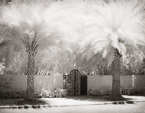 Tropical Garden, Palm Beach #YNG-034.  Infrared Photograph,  Stretched and Gallery Wrapped, Limited Edition Archival Print on Canvas:  56 x 40 inches, $1590.  Custom Proportions and Sizes are Available.  For more information or to order please visit our ABOUT page or call us at 561-691-1110.