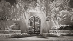 Tropical Garden, Palm Beach #YNG-036.  Infrared Photograph,  Stretched and Gallery Wrapped, Limited Edition Archival Print on Canvas:  72 x 40 inches, $1620.  Custom Proportions and Sizes are Available.  For more information or to order please visit our ABOUT page or call us at 561-691-1110.
